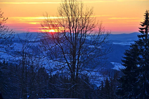 Pôr Sol Inverno Floresta Boêmia Distrito Rohrbach Alta Áustria Áustria — Fotografia de Stock