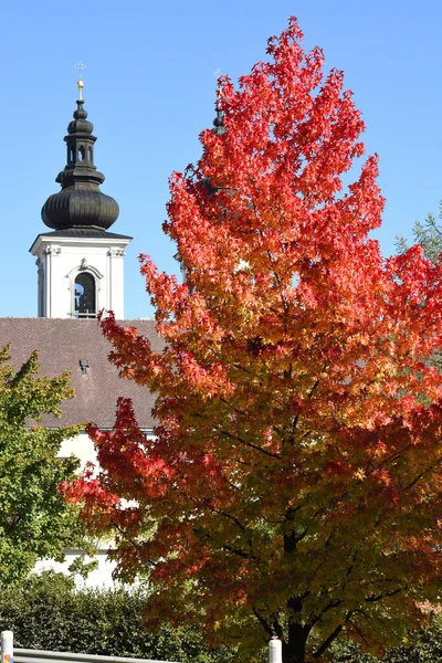 Kremsmnster Deki Manastır Kilisesi Kirchdorf Lçesi Yukarı Avusturya — Stok fotoğraf