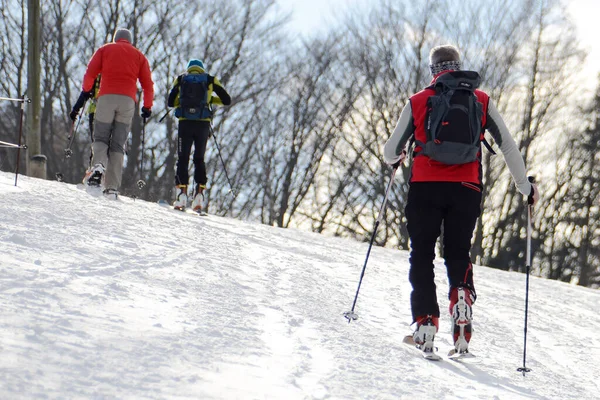 Skiërs Grnberg Gmunden Opper Oostenrijk Oostenrijk — Stockfoto