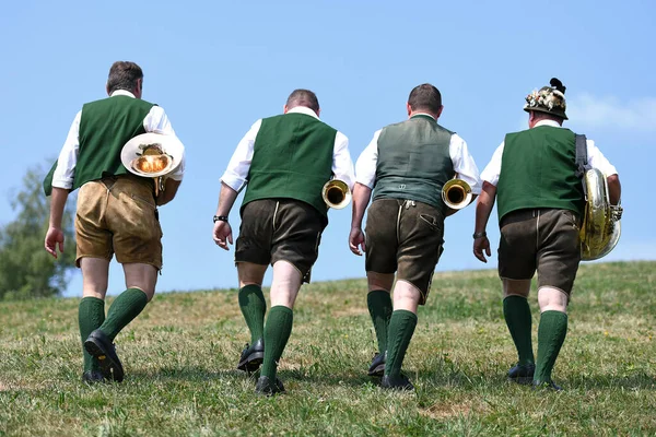  Salzkammergut 'ta geleneksel müzisyenler (Yukarı Avusturya, Avusturya)