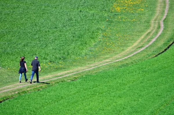 Yeşil Bir Çayırda Iki Yetişkin Yürüyüşçü Yukarı Avusturya Avusturya — Stok fotoğraf