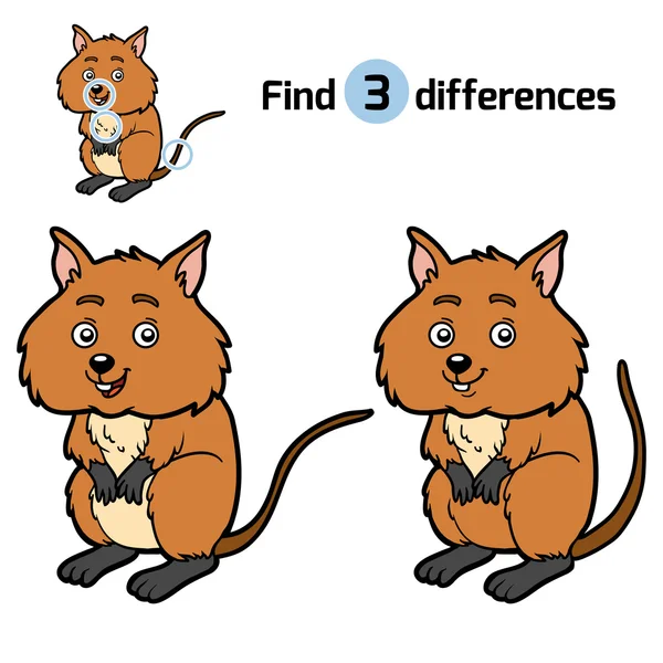 Encuentra diferencias, Quokka — Vector de stock