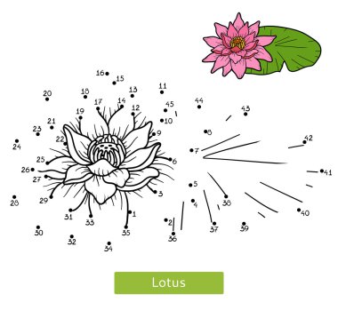 Lotus çiçek sayılar oyunu, çocuklar için