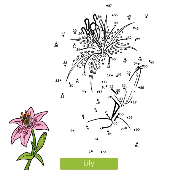 Números juego para niños, flor Lily — Archivo Imágenes Vectoriales