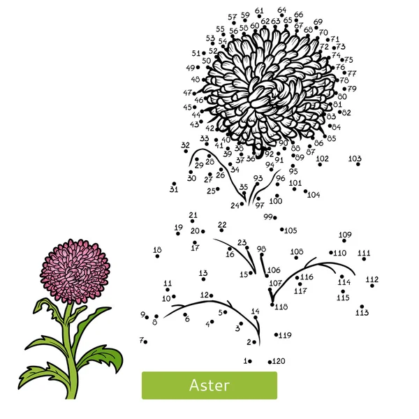 Παιχνίδι αριθμών, λουλούδι Aster — Διανυσματικό Αρχείο