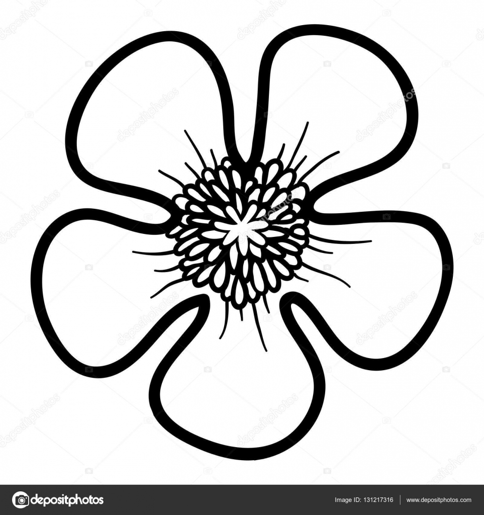 Omalovánky květina Pryskyřnk — Stock Vektor © ksenya stock illustration coloring book flower buttercup