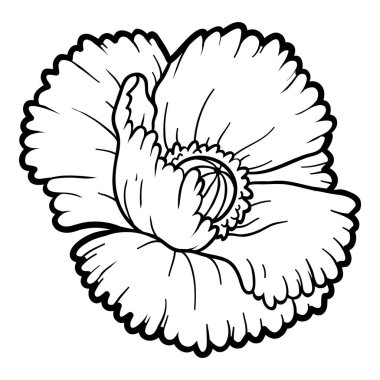 Boyama kitabı, çiçek haşhaş