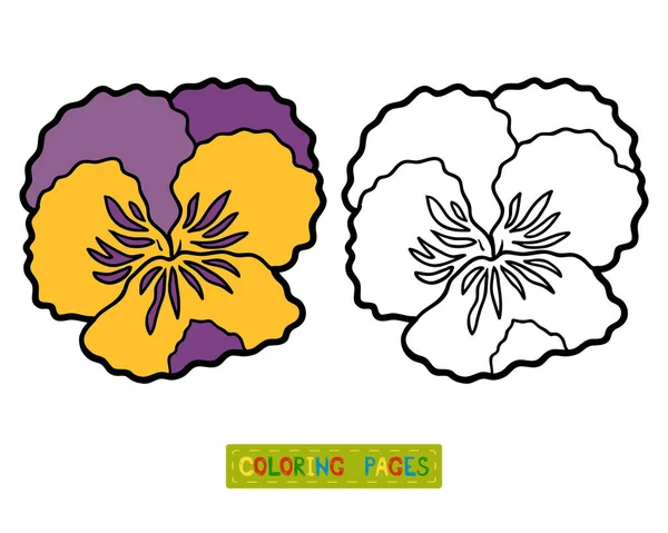 Libro da colorare, fiore Pansy — Vettoriale Stock