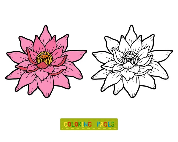 Libro para colorear, flor de Loto — Archivo Imágenes Vectoriales