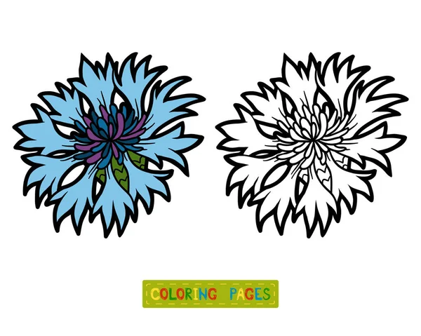 Libro para colorear, flor de aciano — Archivo Imágenes Vectoriales