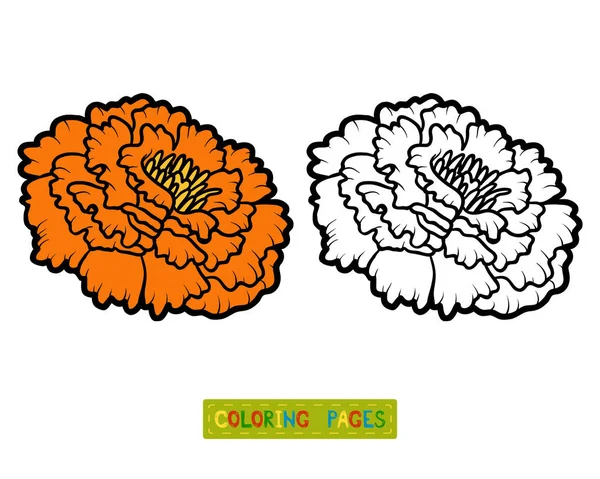 Βιβλίο με σελίδες χρωματισμού, Marigold λουλούδι — Διανυσματικό Αρχείο