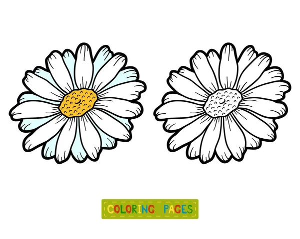 Libro para colorear, flor de manzanilla — Archivo Imágenes Vectoriales
