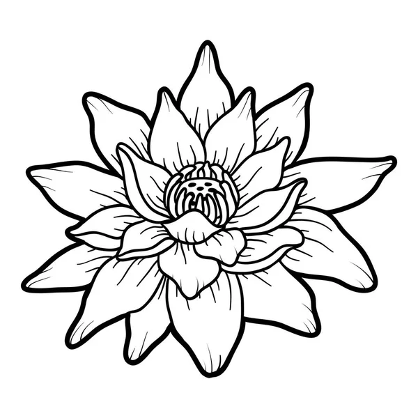 Boyama kitabı, çiçek Lotus — Stok Vektör