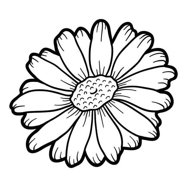 Libro para colorear, flor de manzanilla — Vector de stock