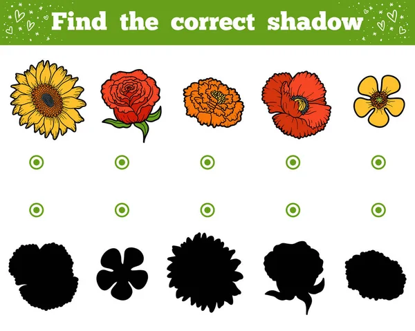 Najděte správný stín. Sada květů — Stockový vektor