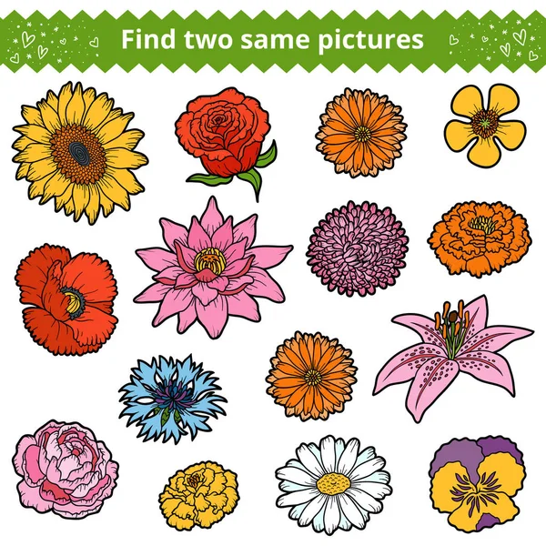 Znaleźć dwa te same zdjęcia. Zestaw kolorów kwiatów — Wektor stockowy