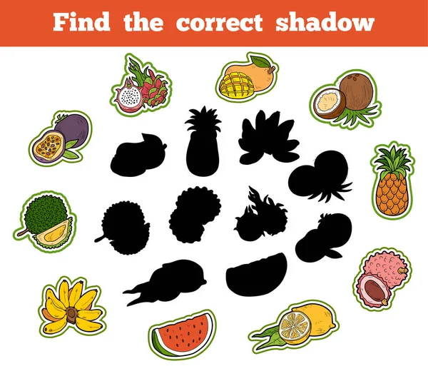 Encuentra la sombra correcta. Frutas tailandesas — Vector de stock
