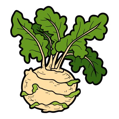 Vektör renk illüstrasyon, renkli sebzeler yetiştirilmektedir