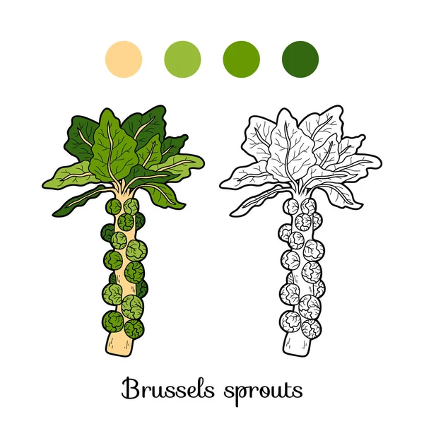 Βιβλίο με σελίδες χρωματισμού, λαχανικά, λαχανάκια Βρυξελλών — Διανυσματικό Αρχείο