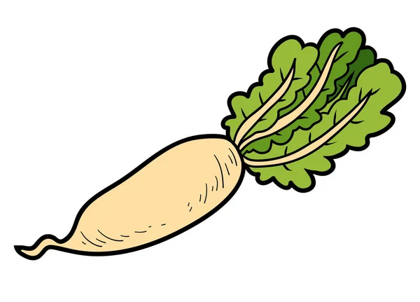 Ilustración de color vectorial, verduras coloridas, Daikon — Archivo Imágenes Vectoriales