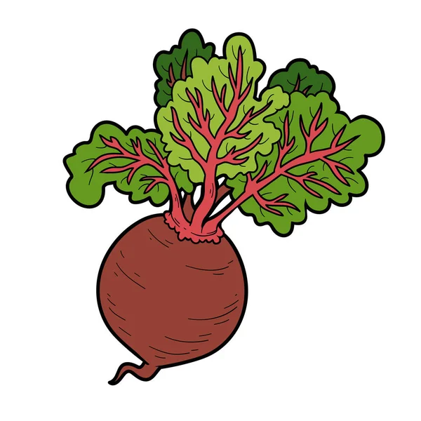 Ilustración de color vectorial, verduras, remolacha — Vector de stock