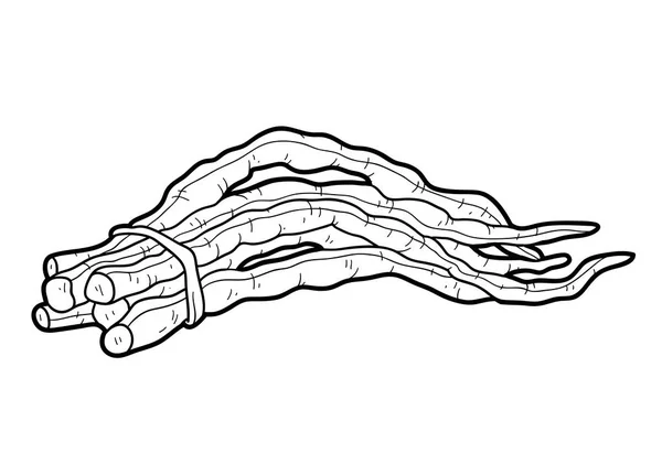 27 Chinese Long Bean Vector Images Chinese Long Bean Illustrations Depositphotos