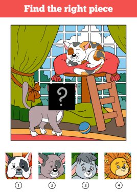 Doğru parça, çocuklar için oyun bulabilirsiniz. İki kedi