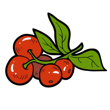 Renkli resim, karikatür berry, kızılcık