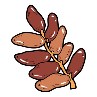 Renkli resim, karikatür berry, tarihleri
