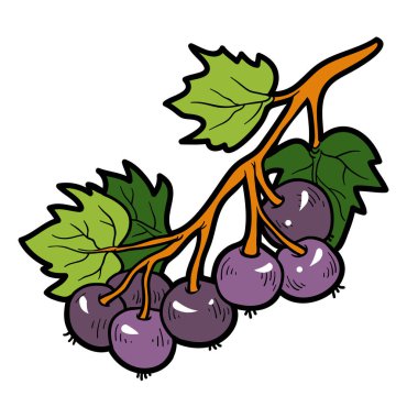 Renkli resim, karikatür berry, siyah kuş üzümü