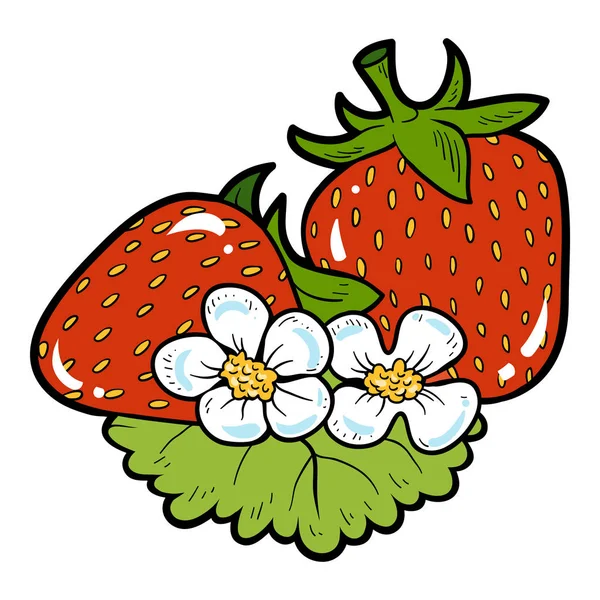 Kleurenafbeelding, cartoon berry, aardbei — Stockvector