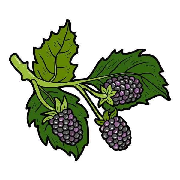 Imagen de color, bayas de dibujos animados, moras — Vector de stock