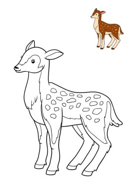 Boyama kitabı, geyik