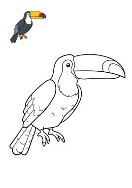 Boyama kitabı, Toucan