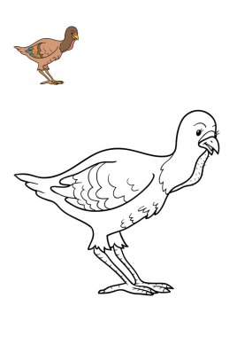 Boyama kitabı, Türkiye