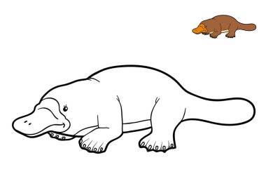Coloring book, Platypus clipart