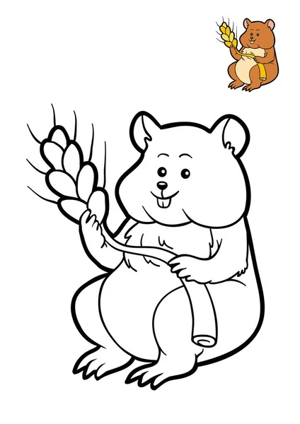 Coloring book, Hamster — Stock Photo, Image