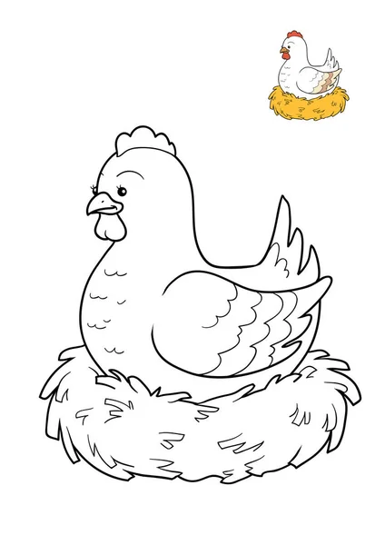 Målarbok, kyckling — Stockfoto