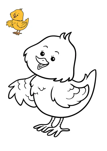 Coloring book, Chicken — Stock Photo, Image