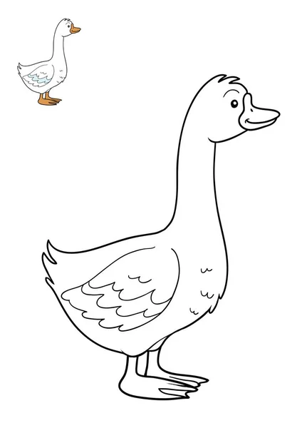 Coloring book, Goose — Stock Photo, Image