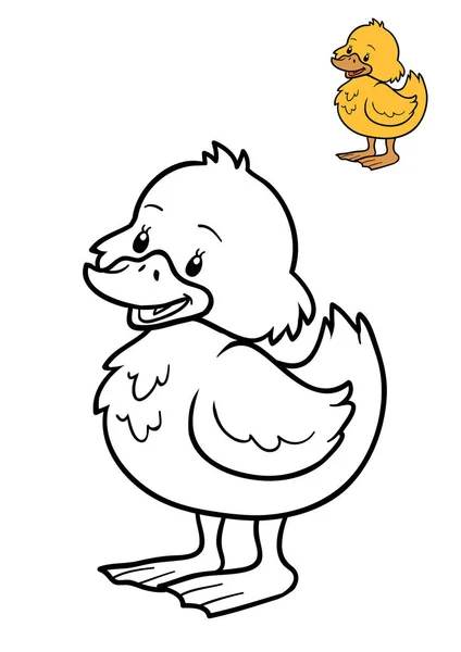 Coloring book, Duck — Stock Photo, Image