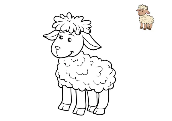 羊の塗り絵 — ストック写真