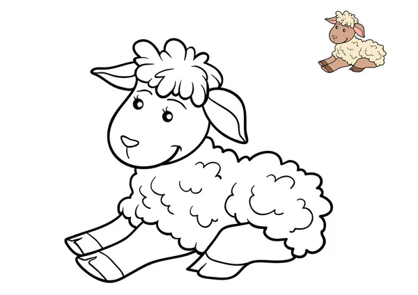 Coloring book, Sheep — Stock Photo, Image