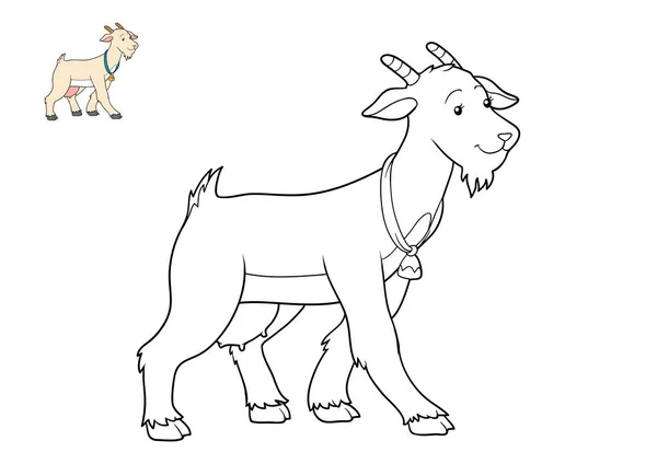 Coloring book, Goat — Stock Photo, Image
