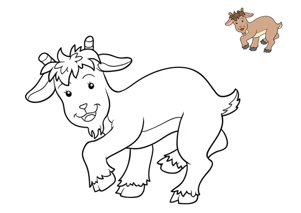 Coloring book, Goat — Stock Photo, Image