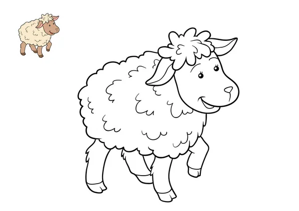 Книжка-розмальовка, овець — стокове фото