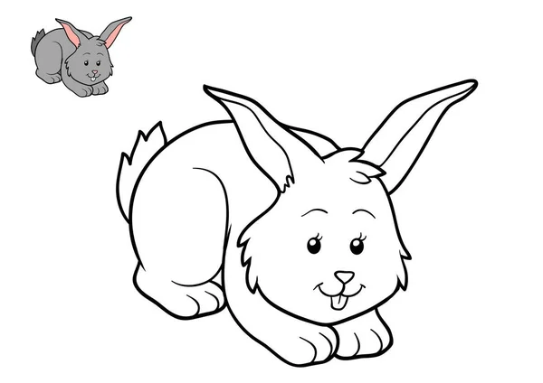 Omalovánky, králík — Stock fotografie