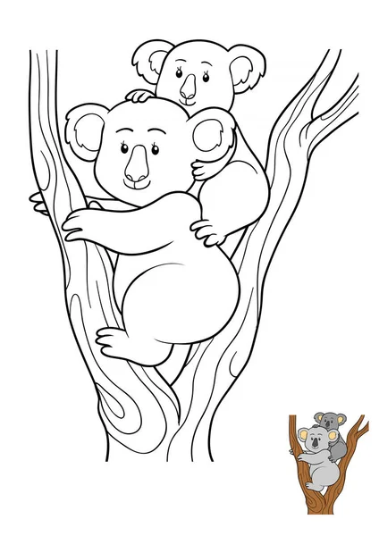 Livro para colorir, Koala — Fotografia de Stock