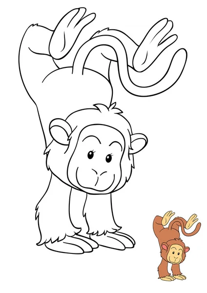 Coloring book, Monkey — Stock Photo, Image