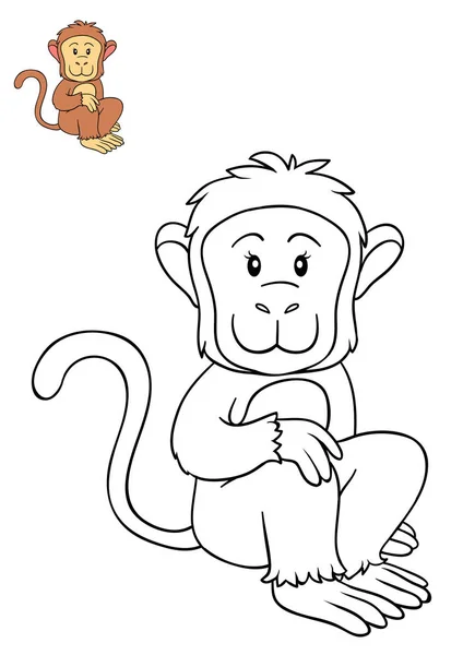 Boyama kitabı, maymun — Stok fotoğraf